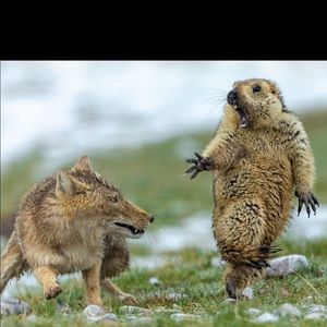 Meet your Posher, Jen